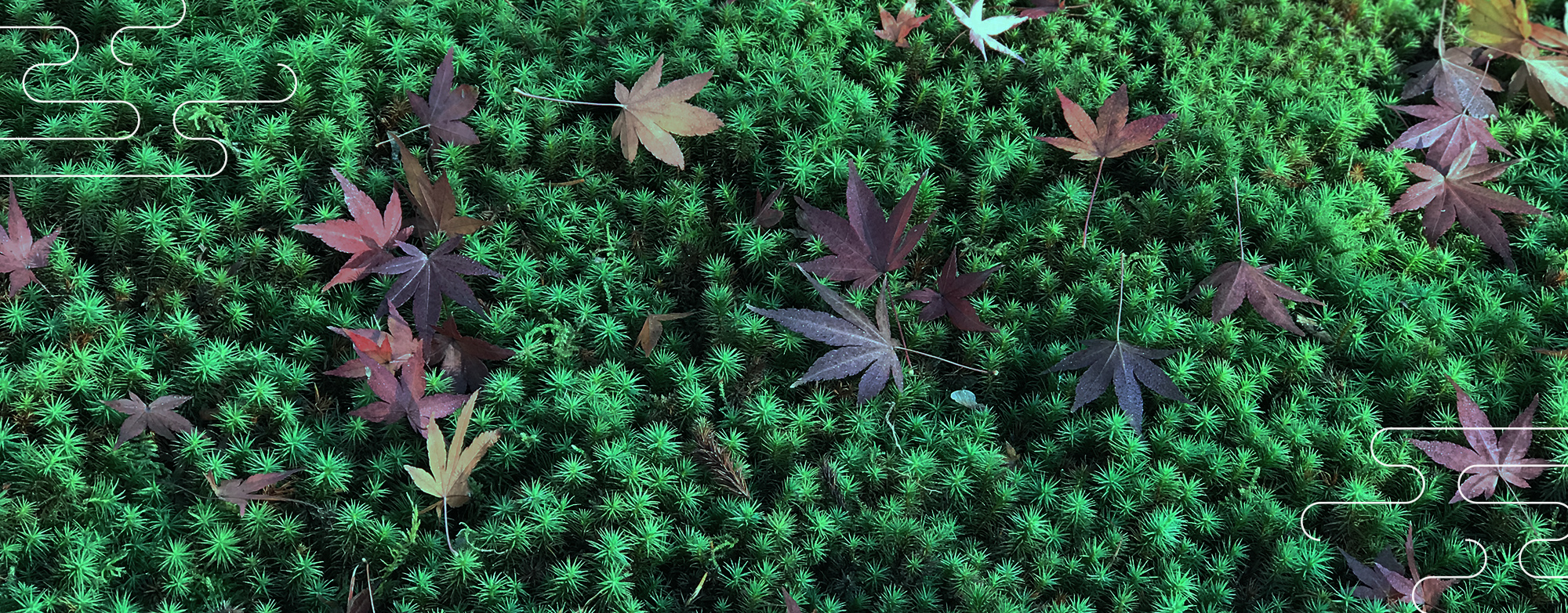 ⼈々の⼼を 豊かにする 緑豊かな 景観作り