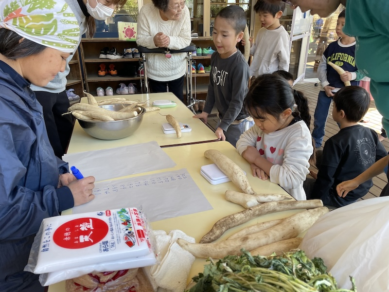 保育園でたくあん作り