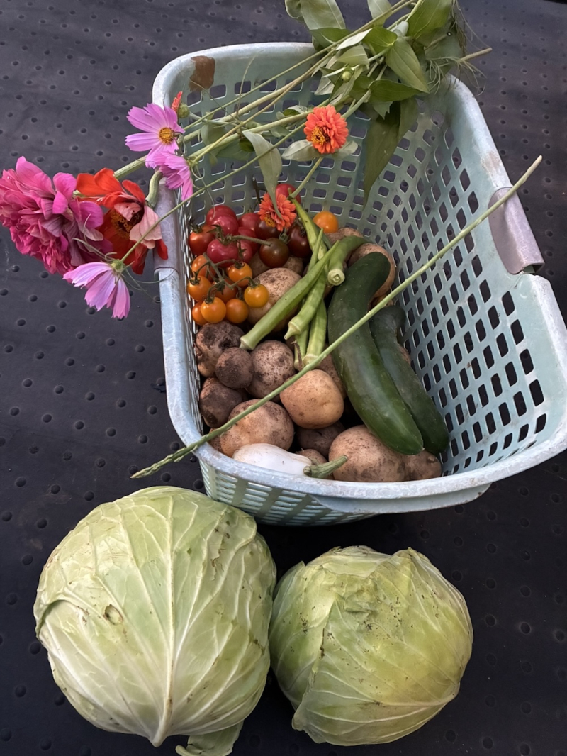 お花も野菜も色とりどり